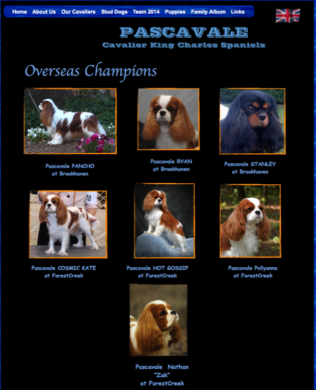 Our Cavaliers